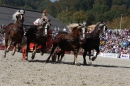 Hengstparade-Marbach-2011-011011-Bodensee-Community-SEECHAT_DE-IMG_1281.JPG