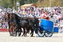 Hengstparade-Marbach-2011-011011-Bodensee-Community-SEECHAT_DE-IMG_1285.JPG