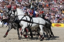 Hengstparade-Marbach-2011-011011-Bodensee-Community-SEECHAT_DE-IMG_1355.JPG