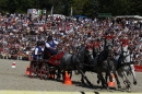 Hengstparade-Marbach-2011-011011-Bodensee-Community-SEECHAT_DE-IMG_1358.JPG