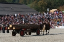 Hengstparade-Marbach-2011-011011-Bodensee-Community-SEECHAT_DE-IMG_1559.JPG