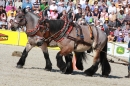 Hengstparade-Marbach-2011-011011-Bodensee-Community-SEECHAT_DE-IMG_1575.JPG