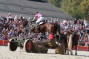 Hengstparade-Marbach-2011-011011-Bodensee-Community-SEECHAT_DE-IMG_1658.JPG