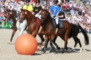 Hengstparade-Marbach-2011-011011-Bodensee-Community-SEECHAT_DE-IMG_1761.JPG