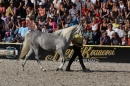 Hengstparade-Marbach-2011-011011-Bodensee-Community-SEECHAT_DE-IMG_1866.JPG