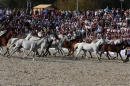 Hengstparade-Marbach-2011-011011-Bodensee-Community-SEECHAT_DE-IMG_1923.JPG