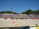 Hengstparade-Marbach-2011-03011-Bodensee-Community-SEECHAT_DE-_117.JPG