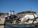 Hengstparade-Marbach-2011-03011-Bodensee-Community-SEECHAT_DE-_132.JPG