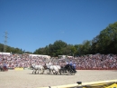 Hengstparade-Marbach-2011-03011-Bodensee-Community-SEECHAT_DE-_38.JPG