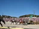 Hengstparade-Marbach-2011-03011-Bodensee-Community-SEECHAT_DE-_69.JPG