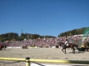 Hengstparade-Marbach-2011-03011-Bodensee-Community-SEECHAT_DE-_71.JPG