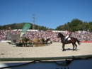 Hengstparade-Marbach-2011-03011-Bodensee-Community-SEECHAT_DE-_72.JPG