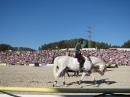 Hengstparade-Marbach-2011-03011-Bodensee-Community-SEECHAT_DE-_73.JPG