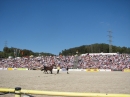 Hengstparade-Marbach-2011-03011-Bodensee-Community-SEECHAT_DE-_76.JPG