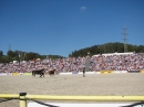 Hengstparade-Marbach-2011-03011-Bodensee-Community-SEECHAT_DE-_79.JPG