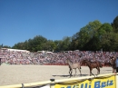 Hengstparade-Marbach-2011-03011-Bodensee-Community-SEECHAT_DE-_82.JPG