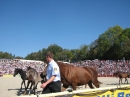 Hengstparade-Marbach-2011-03011-Bodensee-Community-SEECHAT_DE-_83.JPG