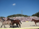 Hengstparade-Marbach-2011-03011-Bodensee-Community-SEECHAT_DE-_84.JPG