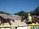 Hengstparade-Marbach-2011-03011-Bodensee-Community-SEECHAT_DE-_93.JPG