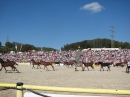 Hengstparade-Marbach-2011-03011-Bodensee-Community-SEECHAT_DE-_96.JPG