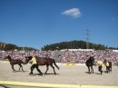 Hengstparade-Marbach-2011-03011-Bodensee-Community-SEECHAT_DE-_99.JPG