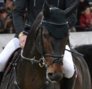 GERMAN-MASTERS-Reitturnier-Stuttgart-191111-Bodensee-Community-SEECHAT-DE-DSC_0640.JPG