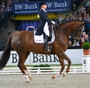 GERMAN-MASTERS-Reitturnier-Stuttgart-19112011-Bodensee-Community-SEECHAT-DE-DSC_0025.JPG