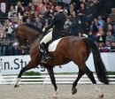 GERMAN-MASTERS-Reitturnier-Stuttgart-19112011-Bodensee-Community-SEECHAT-DE-DSC_0346.JPG