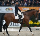 GERMAN-MASTERS-Reitturnier-Stuttgart-19112011-Bodensee-Community-SEECHAT-DE-DSC_0353.JPG