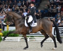 GERMAN-MASTERS-Reitturnier-Stuttgart-19112011-Bodensee-Community-SEECHAT-DE-DSC_0565.JPG