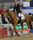 GERMAN-MASTERS-Reitturnier-Stuttgart-19112011-Bodensee-Community-SEECHAT-DE-DSC_0813.JPG