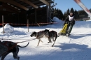 Schlittenhunderennen-Bernau-04022012-Bodensee-Community-Seechat_de_201.jpg