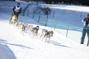 Schlittenhunderennen-Bernau-04022012-Bodensee-Community-Seechat_de_251.jpg