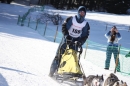 Schlittenhunderennen-Bernau-04022012-Bodensee-Community-Seechat_de_281.jpg