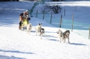 Schlittenhunderennen-Bernau-04022012-Bodensee-Community-Seechat_de_291.jpg