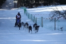 Schlittenhunderennen-Bernau-04022012-Bodensee-Community-Seechat_de_351.jpg