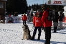 Schlittenhunderennen-Bernau-04022012-Bodensee-Community-Seechat_de_451.jpg