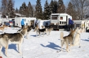 Schlittenhunderennen-Bernau-04022012-Bodensee-Community-Seechat_de_621.jpg