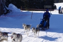 Schlittenhunderennen-Bernau-04022012-Bodensee-Community-seechat_de_11.jpg