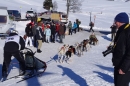 Schlittenhunderennen-Bernau-04022012-Bodensee-Community-seechat_de_133.jpg