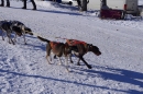 Schlittenhunderennen-Bernau-04022012-Bodensee-Community-seechat_de_138.jpg