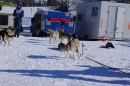 Schlittenhunderennen-Bernau-04022012-Bodensee-Community-seechat_de_67.jpg