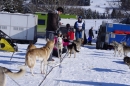 Schlittenhunderennen-Bernau-04022012-Bodensee-Community-seechat_de_68.jpg