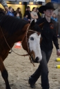 Pferd-Bodensee-18022012-Bodensee-Community-seechat_de-_33.JPG