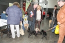 Hundemesse-Mein-Hund-Ravensburg-260212-Bodensee-Community-SEECHAT_DE-IMG_8974.JPG