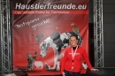 Hundemesse-Mein-Hund-Ravensburg-260212-Bodensee-Community-SEECHAT_DE-IMG_8981.JPG