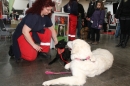 Hundemesse-Mein-Hund-Ravensburg-260212-Bodensee-Community-SEECHAT_DE-IMG_9047.JPG