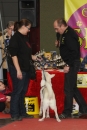 Hundemesse-Mein-Hund-Ravensburg-260212-Bodensee-Community-SEECHAT_DE-IMG_9143.JPG