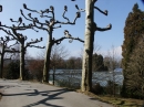 Insel-Mainau-23-03-2012-Bodensee-Community-SEECHAT_DE-_07.JPG