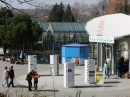 Insel-Mainau-23-03-2012-Bodensee-Community-SEECHAT_DE-_09.JPG